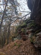 Wanderung Lindelbrunn Nov 2025